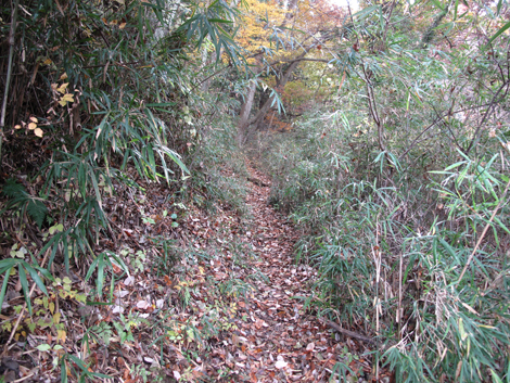 20181126hike (15)